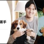 大谷翔平選手の愛犬エースとデコピン！その犬種や特徴、愛情エピソードや平和な日常を紹介！