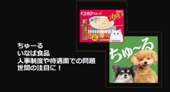ちゅーるで有名ないなば食品、人事制度や待遇面での問題が世間の注目を集めています！ 給与賞与、劣悪な社宅環境、同族経営！