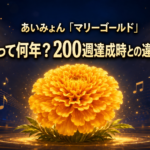 あいみょん「マリーゴールド」400週連続TOP100記録の解説