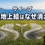 海辺の草地に描かれた巨大な手と芽の地上絵で、サイープさんの作品が消える理由を表したイメージ