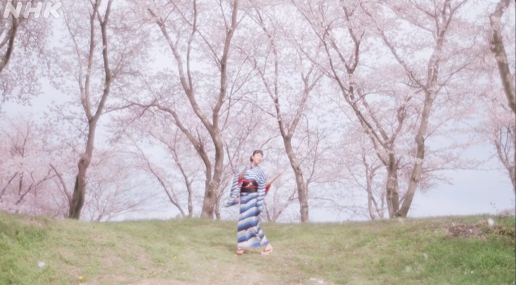 満開の桜の木の下で、青と白の鮮やかなストライプ柄の着物を着た若い女性が、両手を広げて晴れやかな笑顔を見せている場面です。女性の黒い帯には可愛らしい白い花の模様があしらわれています。画面いっぱいに淡いピンク色の桜の花と枝が広がり、ふんわりとした温かく希望に満ちた春の空気が感じられます。左上には薄くNHKのロゴが配置されており、連続テレビ小説のオープニングらしい明るい雰囲気が伝わる一枚です。